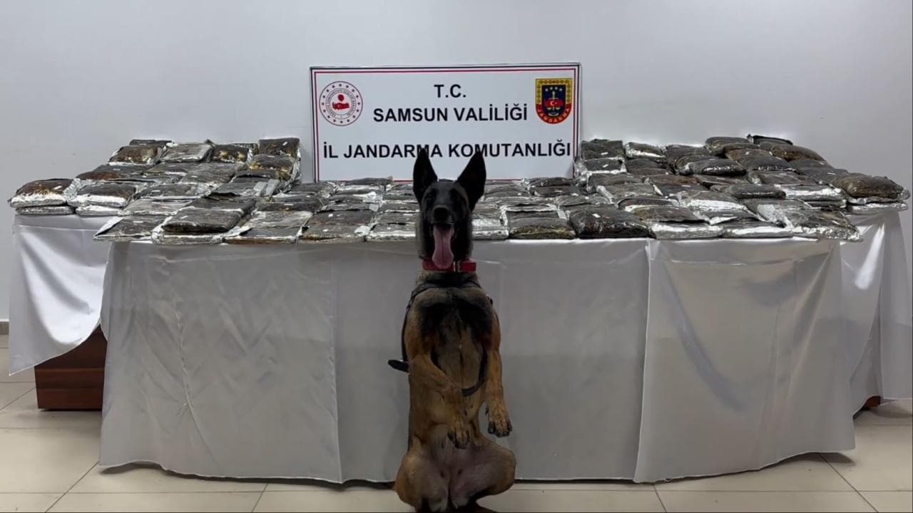 Samsun'da bir tırda 132 kilogram uyuşturucu ele geçirildi