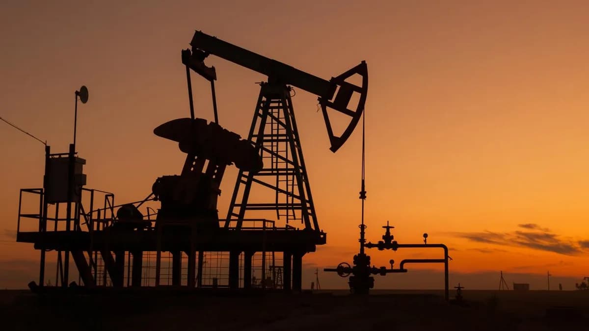 Nijerya'da 12 kaçak petrol tesisi kapatıldı
