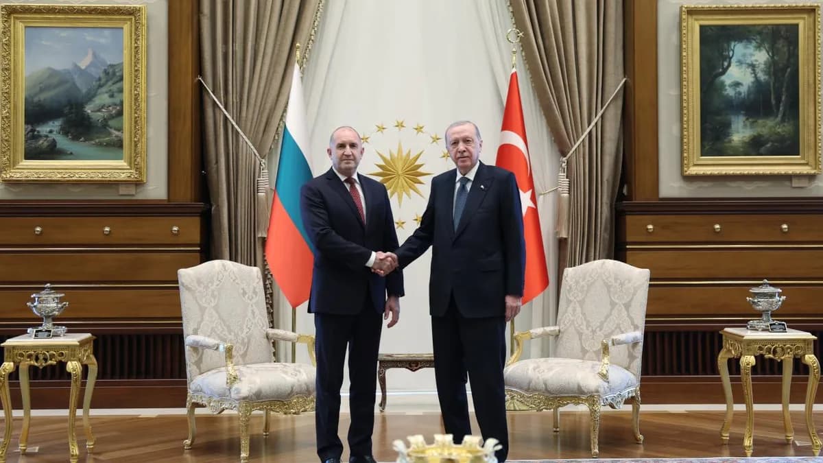 Cumhurbaşkanı Erdoğan'ın NATO Zirvesi öncesi diplomasi trafiği başladı