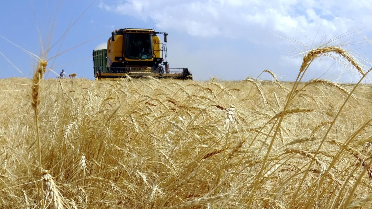 Kırsaldaki üreticilere 315,7 milyon liralık hibe ödemesi