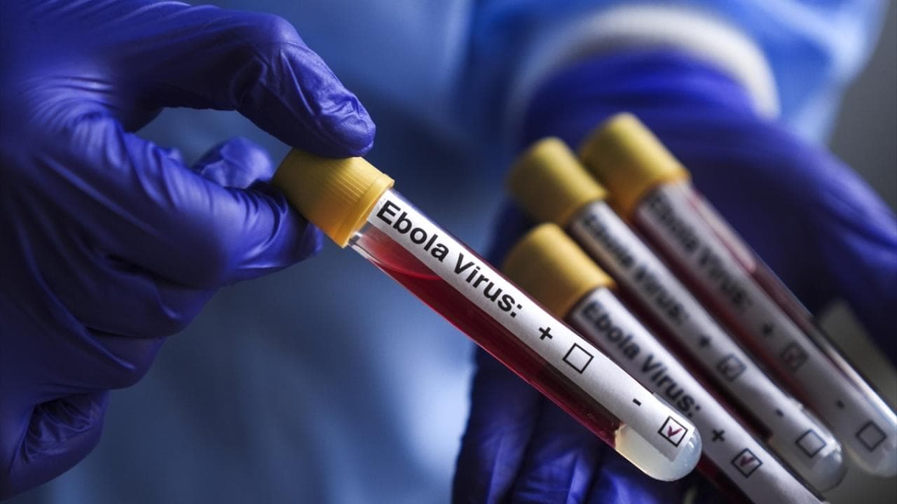 Ebolaya karşı yeni umut: İlk deneysel aşı insanda denendi
