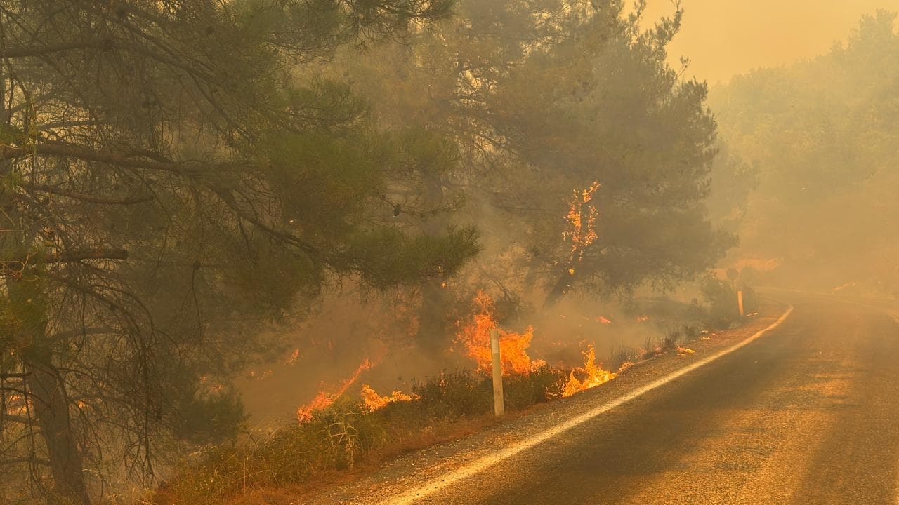Gömeç'te başlayan yangın Ayvalık'a sıçradı