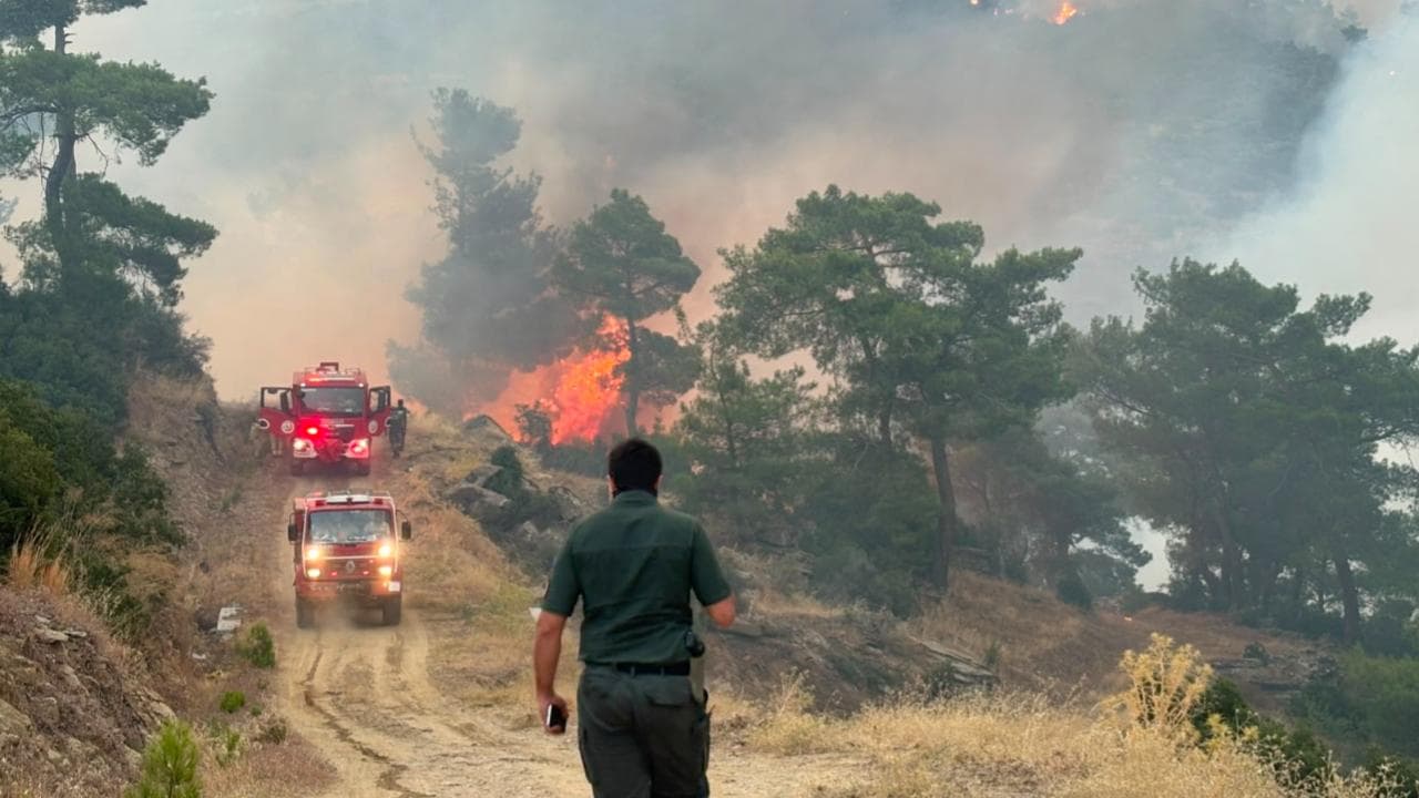 Aydın'daki orman yangınına müdahale sürüyor