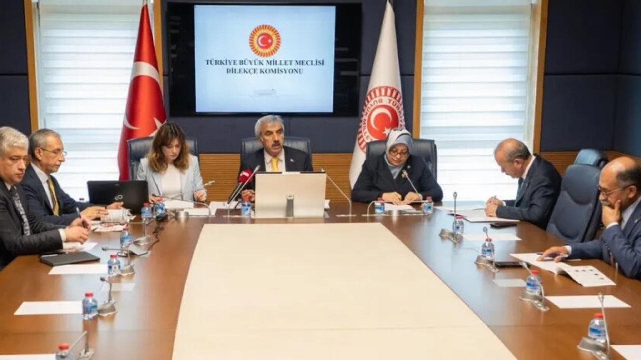 Vatandaşlardan Meclis'e ilginç talepler