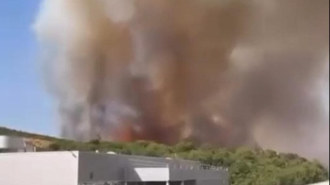 Bursa'da orman yangını