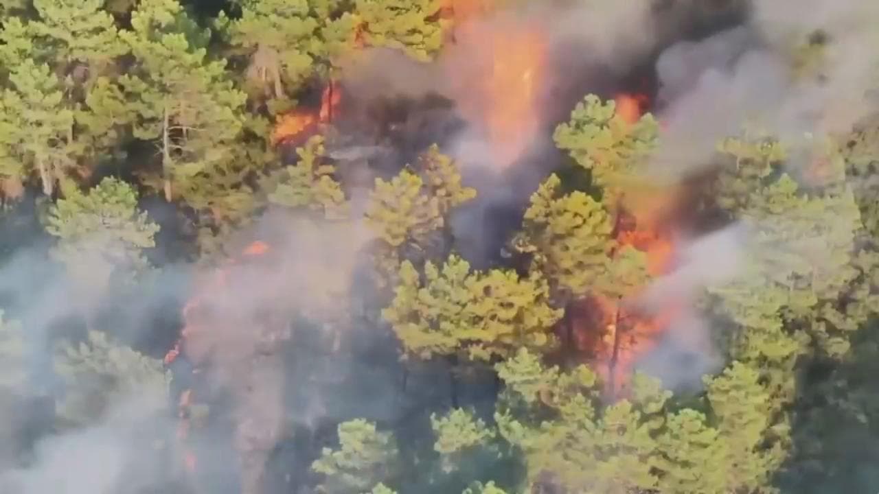 Sultanbeyli'deki orman yangınıyla ilgili 2 tutuklama